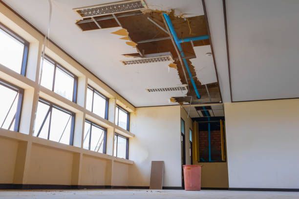 Best Water damage restoration cost  in Aurora, SD