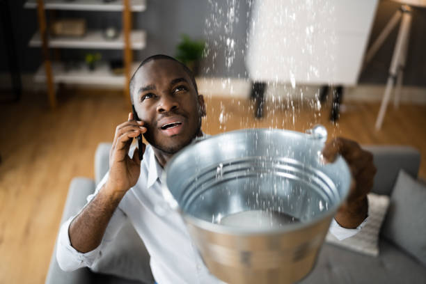 Best Water damage cleanup near me  in Aurora, SD