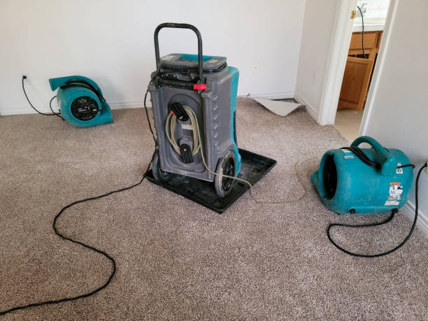 Best 24-hour water damage restoration  in Aurora, SD