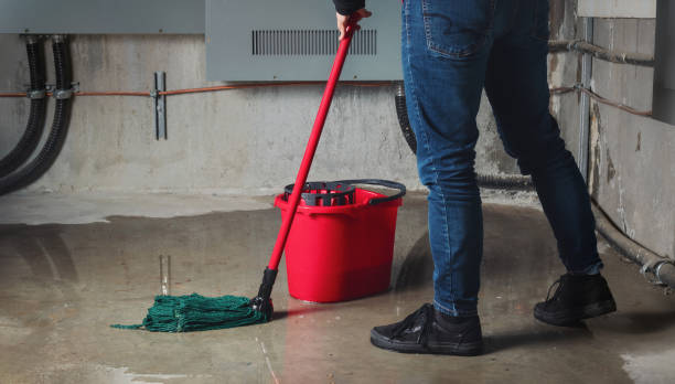 Best Professional water damage repair  in Aurora, SD