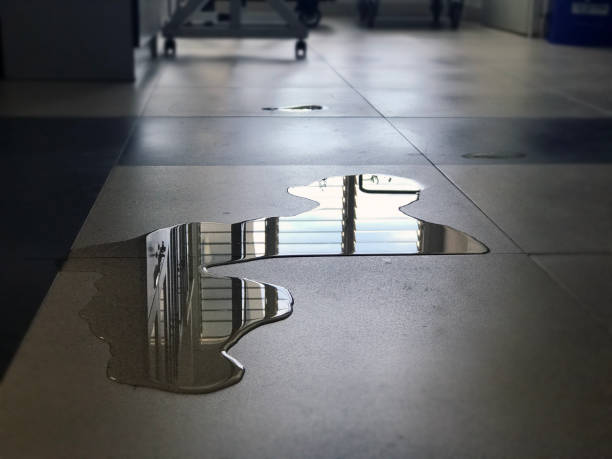 Best Commercial water damage restoration  in Aurora, SD