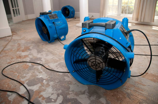 Best Flood restoration services  in Aurora, SD