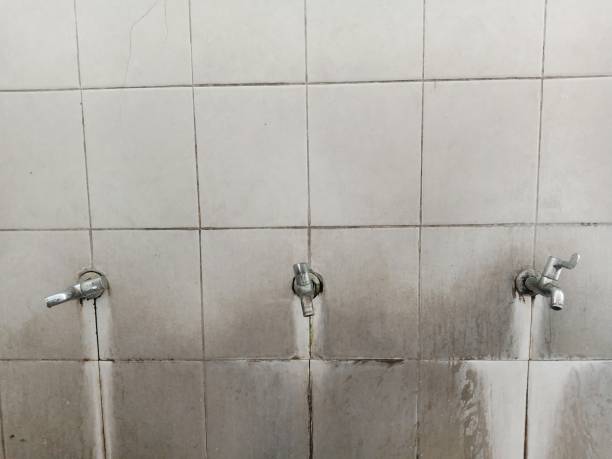Best Water damage contractors near me  in Aurora, SD