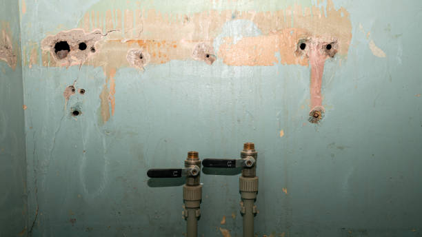 Best Ceiling water damage repair  in Aurora, SD
