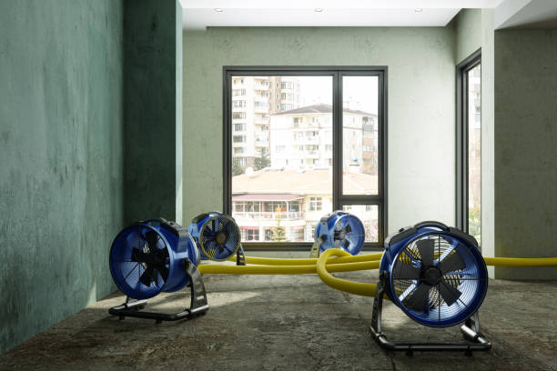 Best Residential water damage restoration  in Aurora, SD